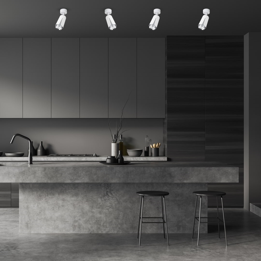 Akcentinis apšvietimas gėlė 1xGU10/8W/230V balta