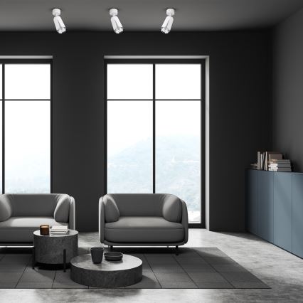Akcentinis apšvietimas gėlė 1xGU10/8W/230V balta