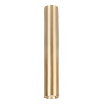 Akcentinis apšvietimas GENESIS 1xGU10/8W/230V 40 cm auksas