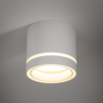 Akcentinis apšvietimas JET 1xGX53/11W/230V balta