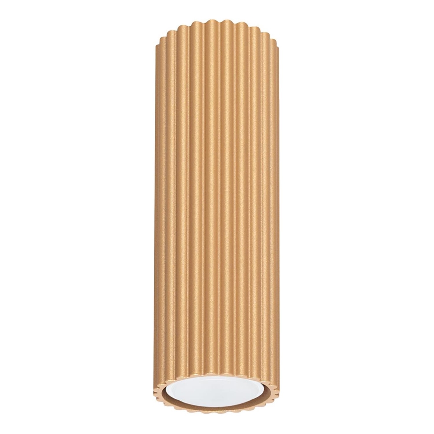 Akcentinis apšvietimas KARBON 1xGU10/10W/230V 20 cm auksas
