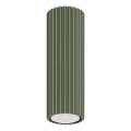 Akcentinis apšvietimas KARBON 1xGU10/10W/230V 20 cm žalia