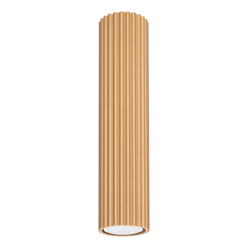 Akcentinis apšvietimas KARBON 1xGU10/10W/230V 30 cm auksas
