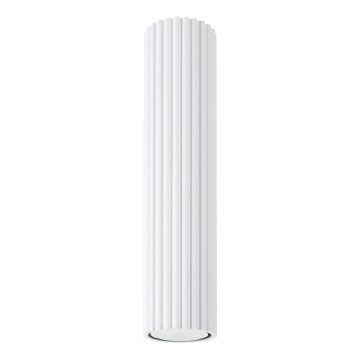 Akcentinis apšvietimas KARBON 1xGU10/10W/230V 30 cm balta