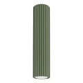 Akcentinis apšvietimas KARBON 1xGU10/10W/230V 30 cm žalia