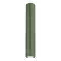 Akcentinis apšvietimas KARBON 1xGU10/10W/230V 40 cm žalia