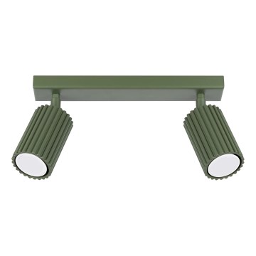 Akcentinis apšvietimas KARBON 2xGU10/10W/230V žalia