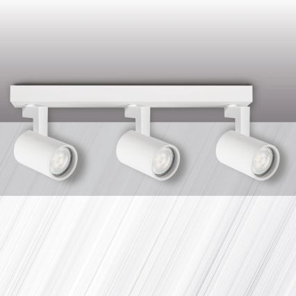 Akcentinis apšvietimas LYNX 3xGU10/10W/230V balta