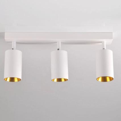 Akcentinis apšvietimas MARIBEL 3xGU10/10W/230V balta
