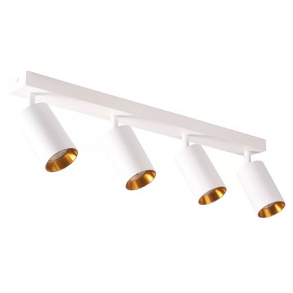 Akcentinis apšvietimas MARIBEL 4xGU10/10W/230V balta
