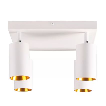 Akcentinis apšvietimas MARIBEL 4xGU10/10W/230V balta