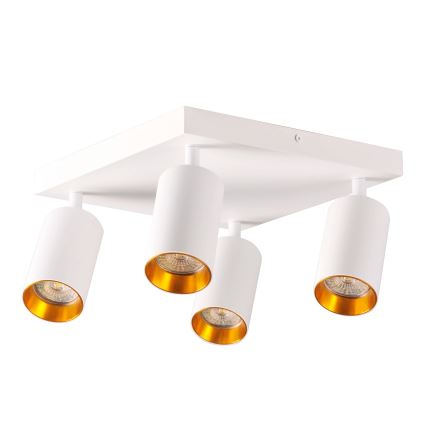 Akcentinis apšvietimas MARIBEL 4xGU10/10W/230V balta