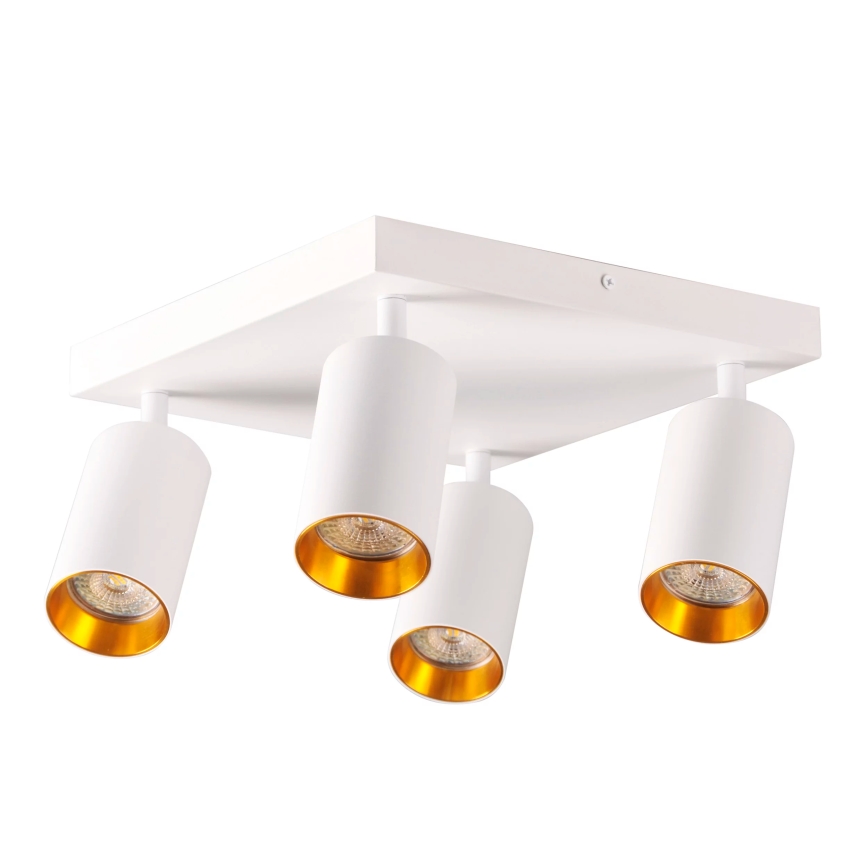 Akcentinis apšvietimas MARIBEL 4xGU10/10W/230V balta