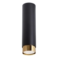 Akcentinis apšvietimas NERO 1xGU10/10W/230V 22,5 cm juoda/auksas