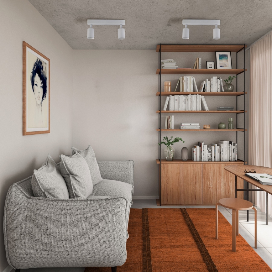 Akcentinis apšvietimas NEX 2xGU10/10W/230V balta