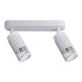 Akcentinis apšvietimas VERTICAL 2xGU10/8W/230V balta