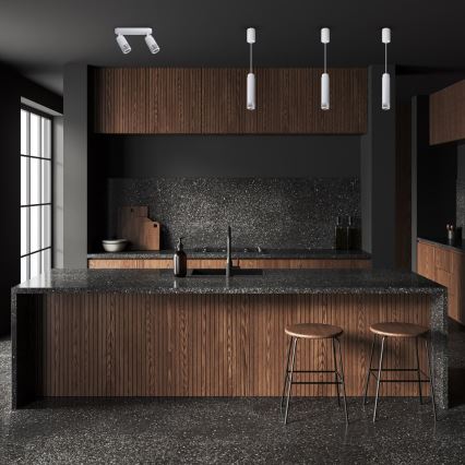 Akcentinis apšvietimas VERTICAL 2xGU10/8W/230V balta