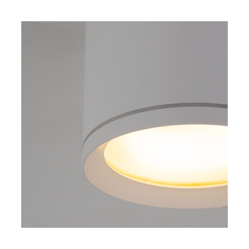 Akcentinis apšvietimas VIVO 1xGX53/10W/230V 10 cm balta