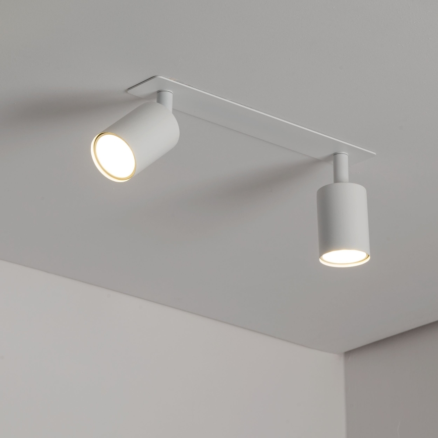 Akcentinis įleidžiamas šviestuvas NEX 2xGU10/10W/230V balta