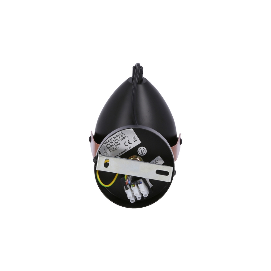 Akcentinis šviestuvas ANICA 1xE14/40W/230V juodas/varis