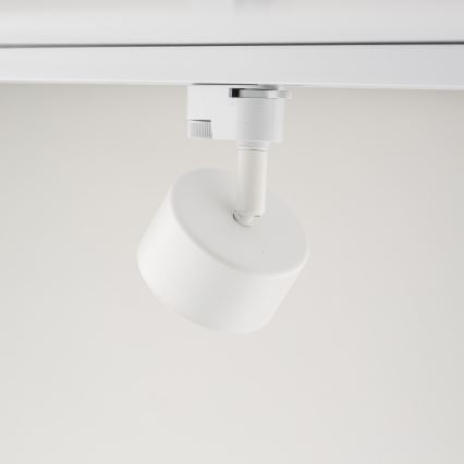 Akcentinis apšvietimas 1-fazės bėgių sistemai AVIA 1xGX53/15W/230V balta