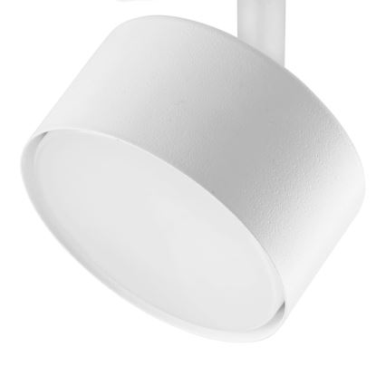 Akcentinis apšvietimas 1-fazės bėgių sistemai AVIA 1xGX53/15W/230V balta