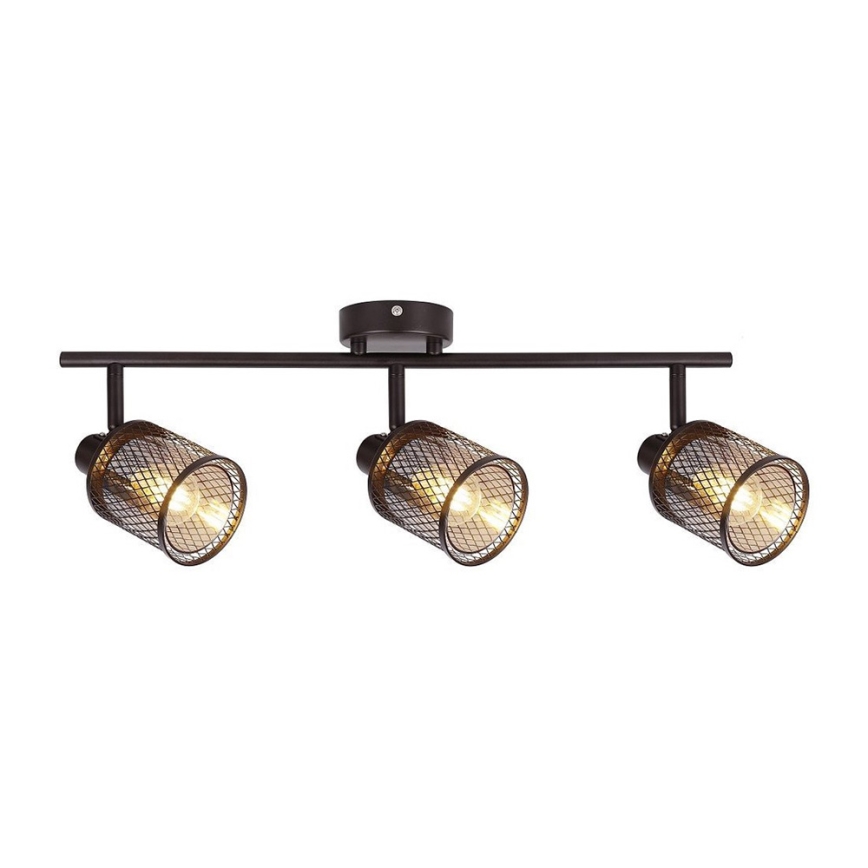 Akcentinis šviestuvas CANABERA 3xE14/40W/230V