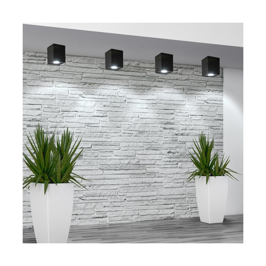 Akcentinis šviestuvas HADAR Q1 1xGU10/10W/230V juoda