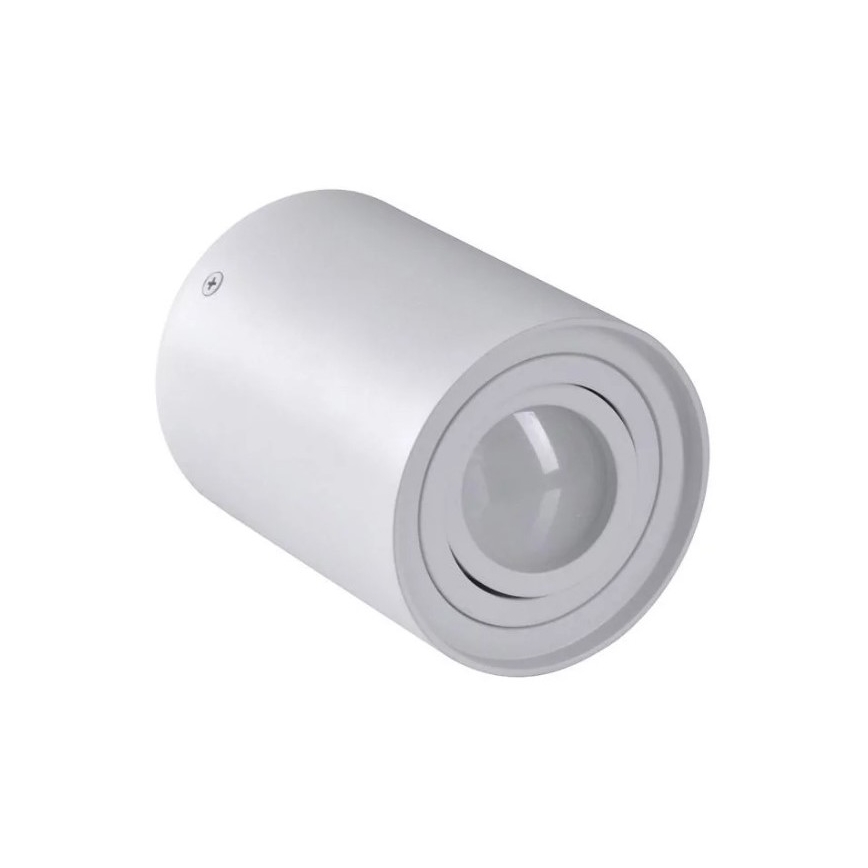 Akcentinis šviestuvas HADAR R1 1xGU10/10W/230V balta