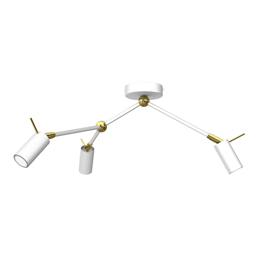 Akcentinis šviestuvas IRIS 3xGU10/MR11/40W/230V baltas/aukso