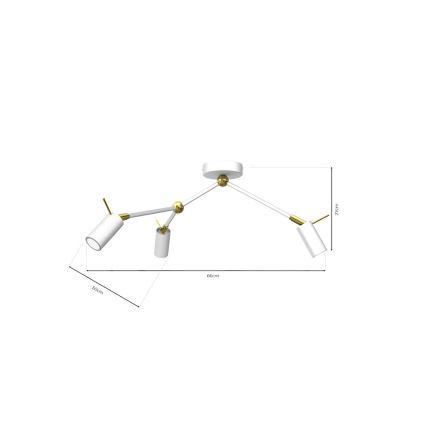 Akcentinis šviestuvas IRIS 3xGU10/MR11/40W/230V baltas/aukso