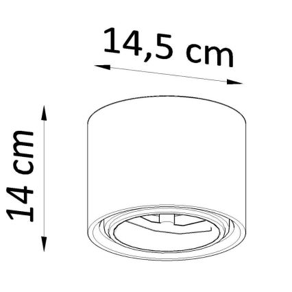 Akcentinis šviestuvas KALU 1xGU10/40W/230V