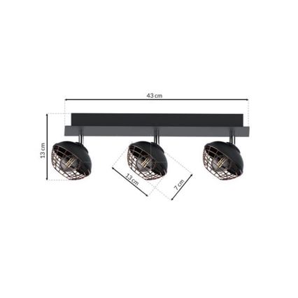 Akcentinis šviestuvas LOGAN 3xE14/40W/230V