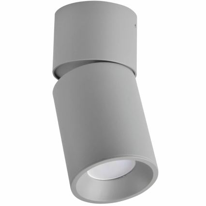 Akcentinis šviestuvas NIXA 1xGU10/10W/230V pilkas