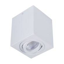 Akcentinis šviestuvas SIN 1xGU10/50W/230V baltas