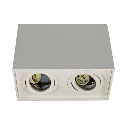 Akcentinis šviestuvas SIROCO 2xGU10/30W/230V baltas