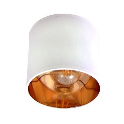 Akcentinis šviestuvas SOFIA 3xE27/60W/230V baltas