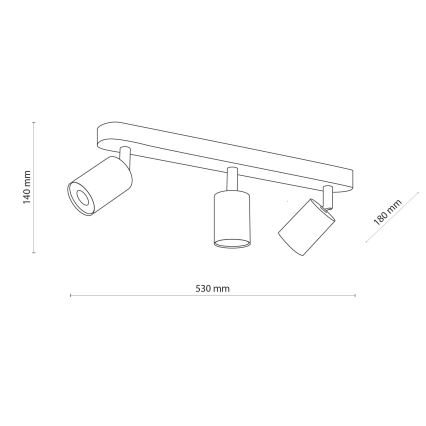 Akcentinis šviestuvas TOP WOOD 3xGU10/10W/230V baltas/medis