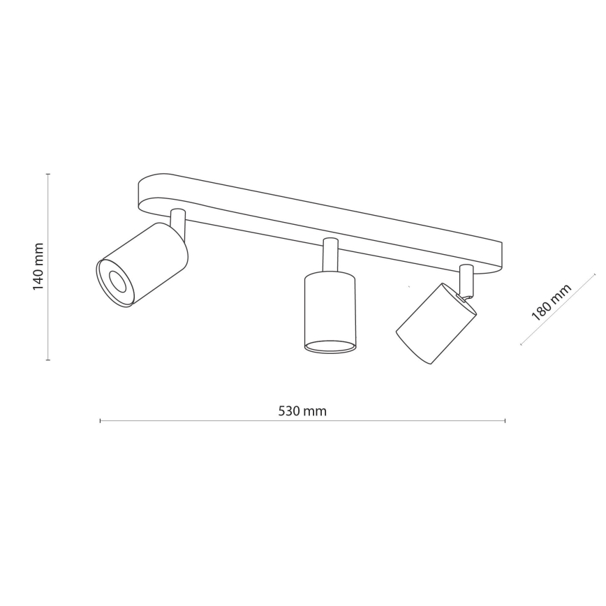 Akcentinis šviestuvas TOP WOOD 3xGU10/10W/230V baltas/medis