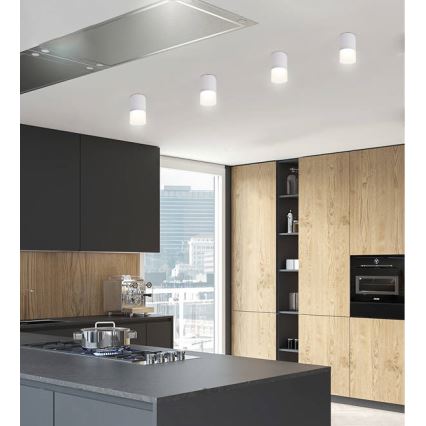 Akcentinis šviestuvas TUBA 1xGU10/15W/230V pilkas/baltas