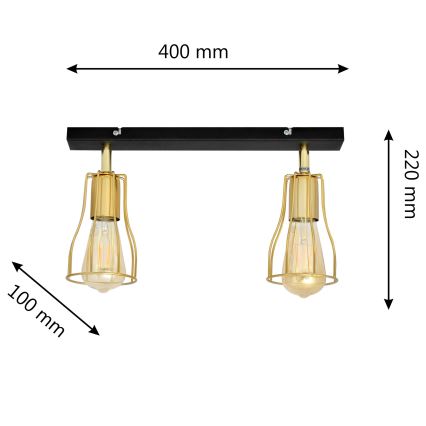 Akcentinis šviestuvas TUBE 2xE27/15W/230V aukso/juodas