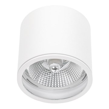 Akcentinis vonios šviestuvas CHLOE AR111 1xGU10/12W/230V IP65 apvalus balta