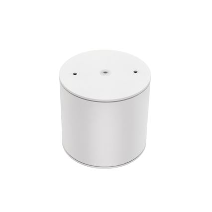 Akcentinis vonios šviestuvas CHLOE AR111 1xGU10/12W/230V IP65 apvalus balta