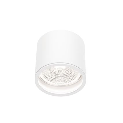 Akcentinis vonios šviestuvas CHLOE AR111 1xGU10/12W/230V IP65 apvalus balta