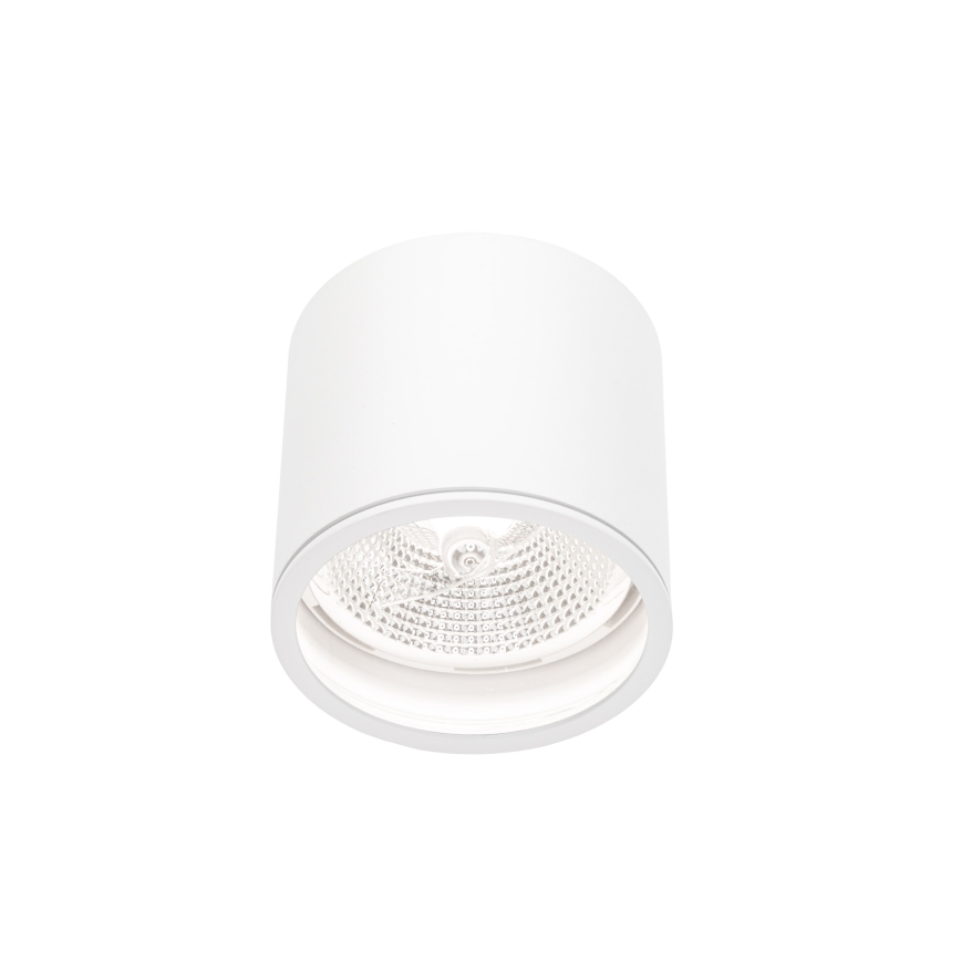 Akcentinis vonios šviestuvas CHLOE AR111 1xGU10/12W/230V IP65 apvalus balta