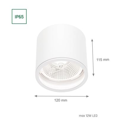 Akcentinis vonios šviestuvas CHLOE AR111 1xGU10/12W/230V IP65 apvalus balta