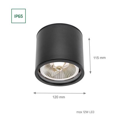 Akcentinis vonios šviestuvas CHLOE AR111 1xGU10/12W/230V IP65 apvalus juoda