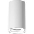 Akcentinis vonios šviestuvas TURYN 1xGU10/10W/230V IP44 balta