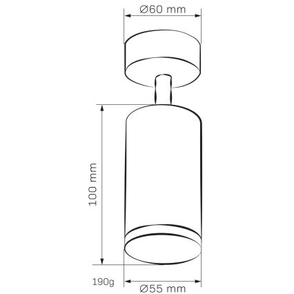 Akcentinis vonios šviestuvas TURYN 1xGU10/10W/230V IP44 balta