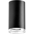 Akcentinis vonios šviestuvas TURYN 1xGU10/10W/230V IP44 juoda